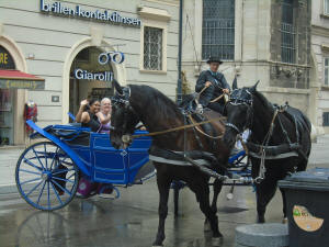 carriage