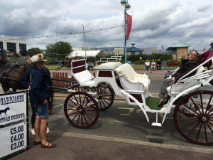 Horse and Carriage