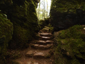 Puzzlewood