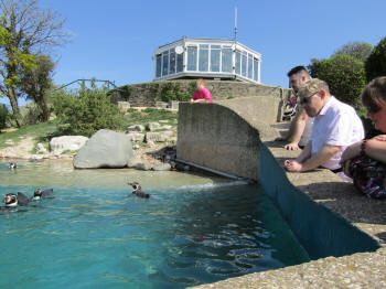 The Welsh Mountain Zoo