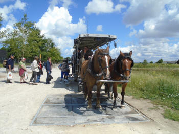 horse & carriage