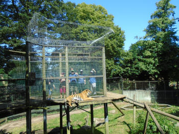 Thrigby Hall Zoo
