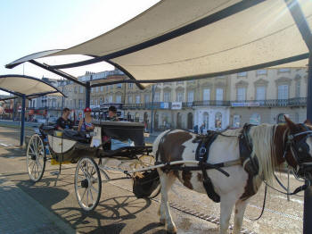 Horse and Carriage