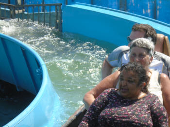 log flume