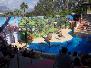 Mundomar Sea Lion Show