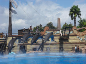 dolphin show