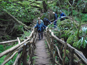 Puzzlewood