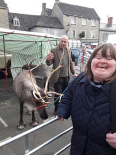 reindeer