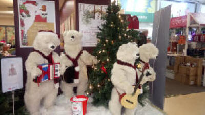Polar Bear Band