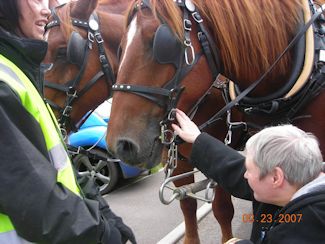 Bournemouth 2007