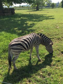 Farms & Zoos holiday