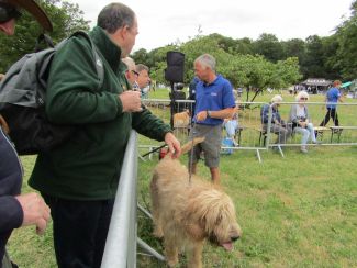 Cotswold Show and Drive a Train 2019