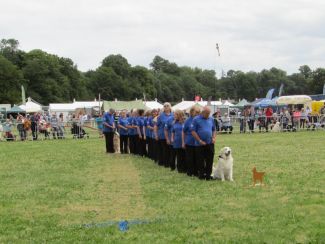 Cotswold Show and Drive a Train 2019