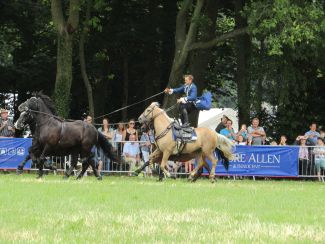 Cotswold Show and Drive a Train 2019