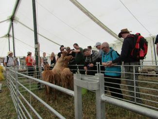 Cotswold Show and Drive a Train 2019