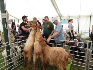 Cotswold Show and Drive a Train 2019