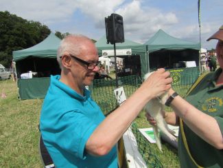 Cotswold Show and Drive a Train 2019