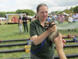 Cotswold Show and Drive a Train 2019