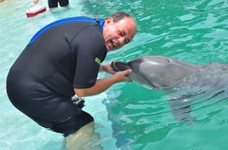 Florida 2015 - Swimming with dolphins