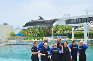 Florida 2015 - Swimming with dolphins