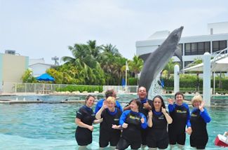 Florida 2015 - Swimming with dolphins