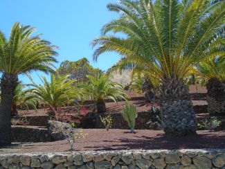 Villa in Lanzarote 2019