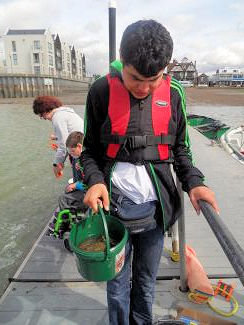 Mersea Island Festival