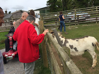 Snowdonia 2015