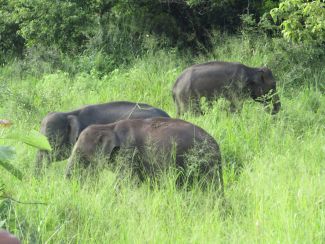 Sri Lanka, South Asia 2018