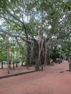 Sri Lanka, South Asia 2018