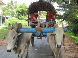 Sri Lanka, South Asia 2018