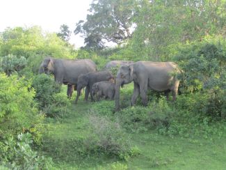 Sri Lanka, South Asia 2018