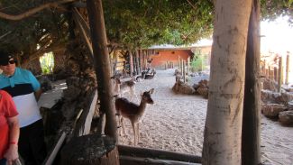 Christmas in the Canaries, Spain 2019